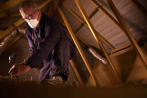 Best Residential Insulation in Ridgeway, VA